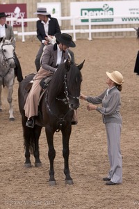 Lusitano Breed Society of Great Britain Show - Hartpury College - 27th June 2009